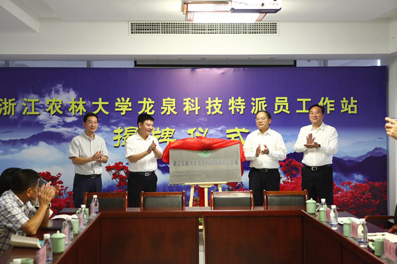 浙江慧創工貿有限公司,竹木(mù)膠合模闆,膠合闆,房(fáng)屋,橋梁,隧道(dào),火(huǒ)車(chē)集裝箱底闆,官方網站(zhàn)