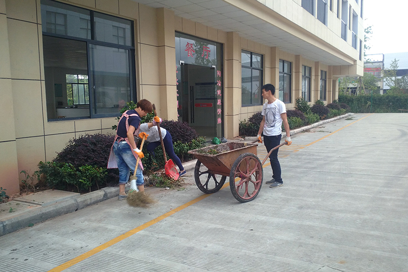 浙江慧創工貿有限公司,竹木(mù)膠合模闆,膠合闆,房(fáng)屋,橋梁,隧道(dào),火(huǒ)車(chē)集裝箱底闆,官方網站(zhàn)