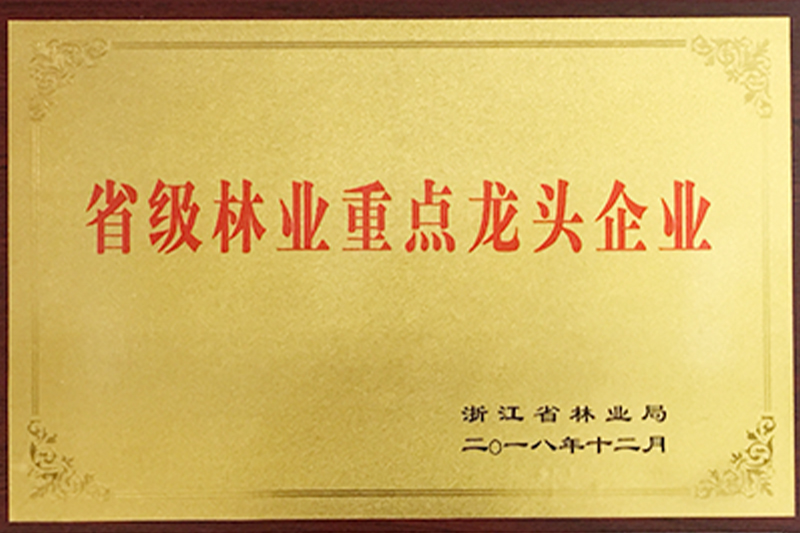 浙江慧創工貿有限公司,竹木(mù)膠合模闆,膠合闆,房(fáng)屋,橋梁,隧道(dào),火(huǒ)車(chē)集裝箱底闆,官方網站(zhàn)