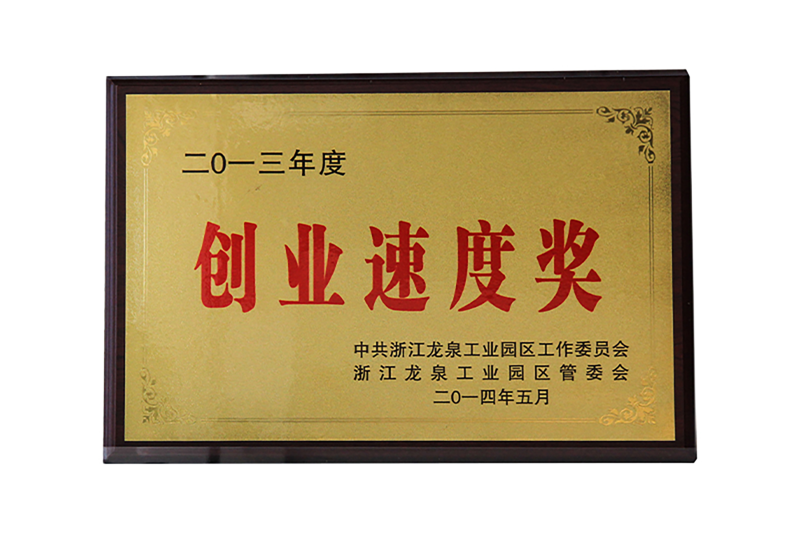 2013年(nián)度創業(yè)速度獎