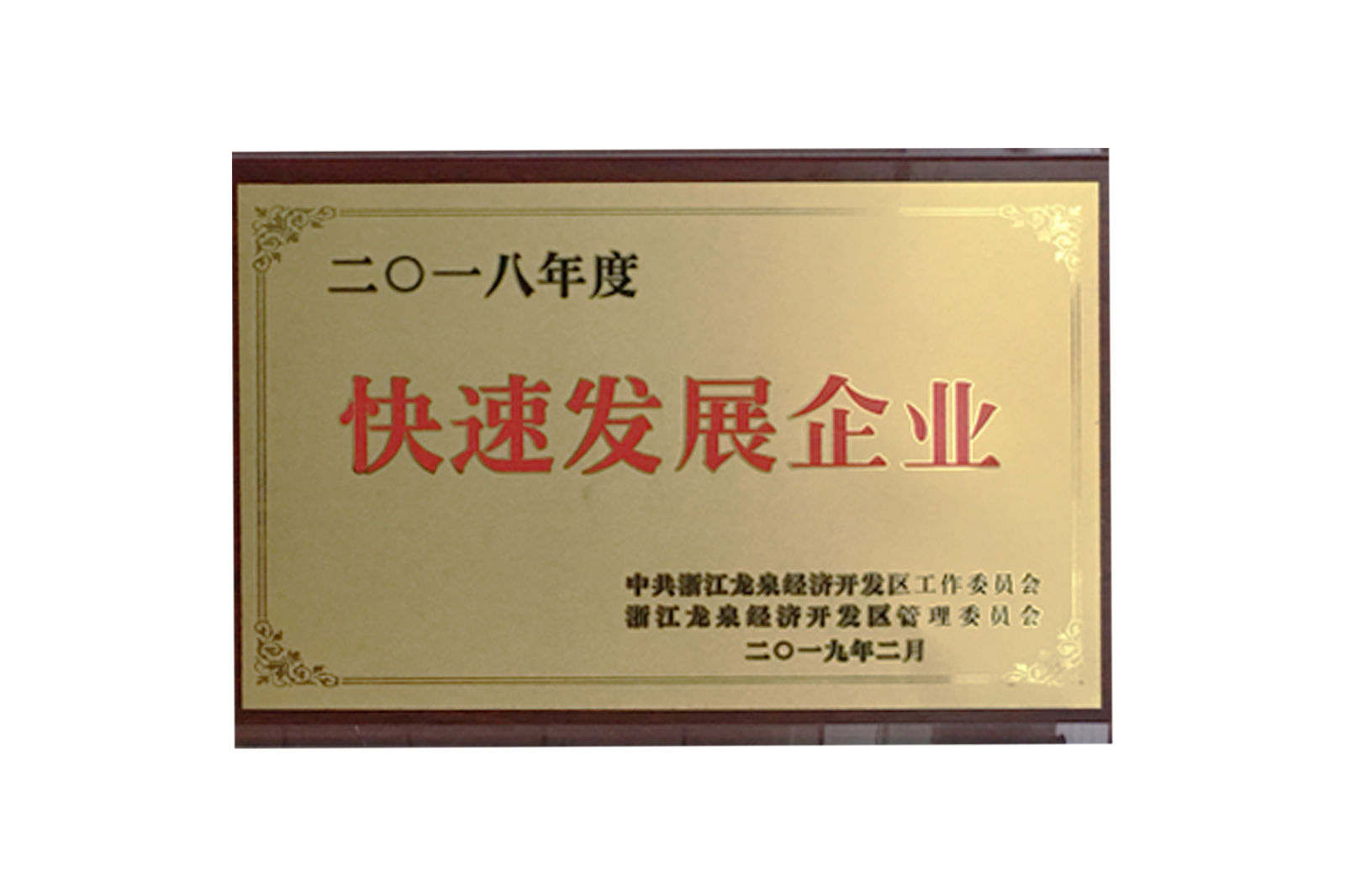2018年(nián)度快(kuài)速發展企業(yè)