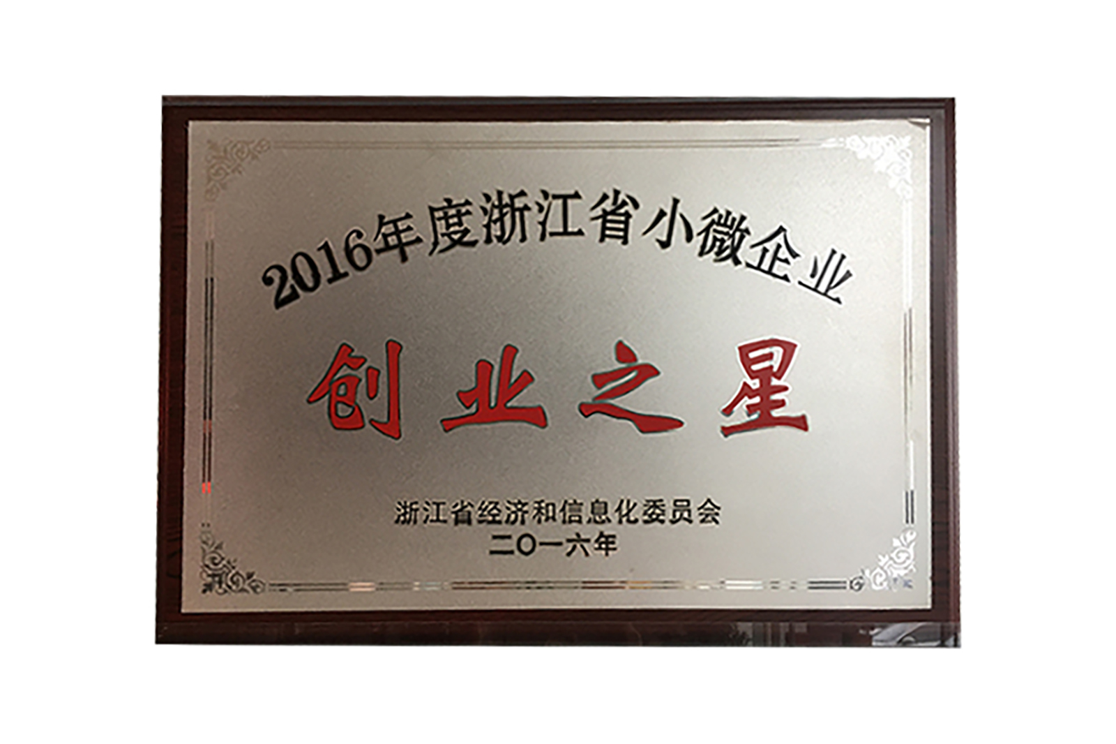 2016年(nián)度浙江省小(xiǎo)微(wēi)企業(yè)創業(yè)之星